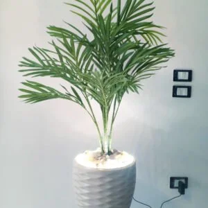Decorative Palm Tree (110 cm)
