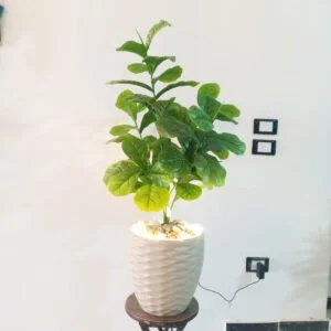 Decorative Areca Palm Tree (110 cm)