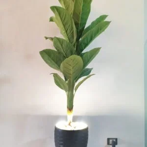 Banana Tree (170 cm) with LED Pot